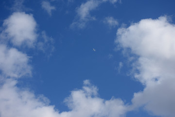 青空と雲と天空を飛ぶ飛行機「空想・雲のモンスターたち」（脚光を浴びる、話題になる、中心になる、注目を集める、未来などのイメージ）