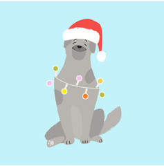 A nice dog in a Santa Claus hat.