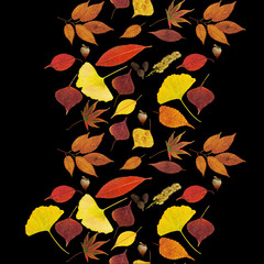 seamless pattern of colorful autumn leaves