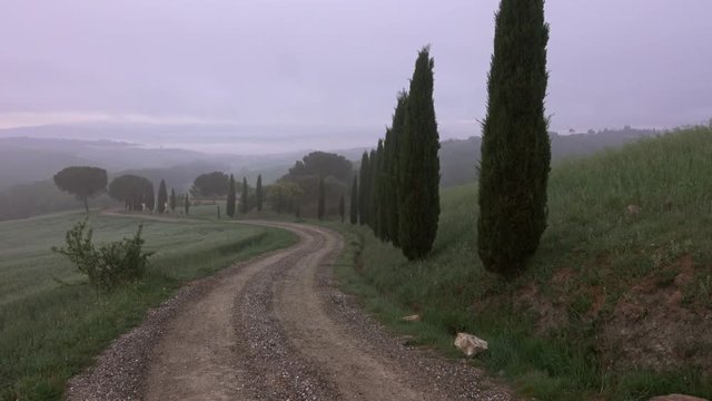 Tuscany panorama landscape at dawn with cypress alley and hills, Italy, 4k
