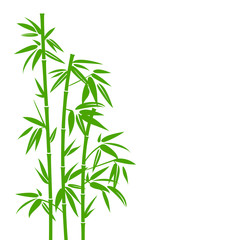 Naklejka premium Bamboo Green