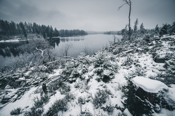Erster Schnee im Harz