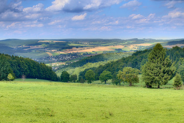 Fototapeta na wymiar View on meadow near Rittersgruen in the Ore Mountains