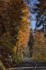 Obraz premium L'automne à Servoz, Haute-Savoie, France