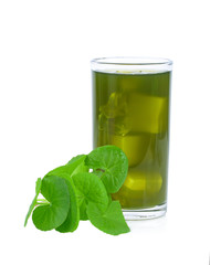 Asiatic leaf juice isolated on white background