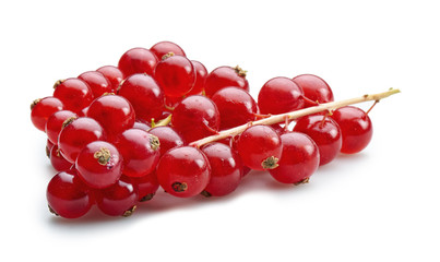 Organic bunch of red currants isolated on white