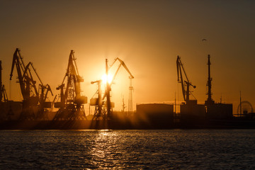 Fototapeta na wymiar Many big cranes silhouette in the port at golden light of sunrise reflected in water. Berdiansk, Ukraine