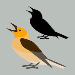 singing bird vector illustration flat style profile silhouette
