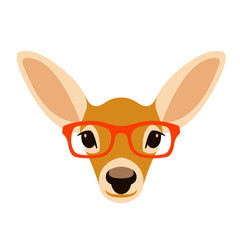 deer head in glasses vector illustration flat style front