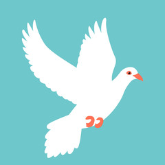 dove bird vector illustration flat style profile