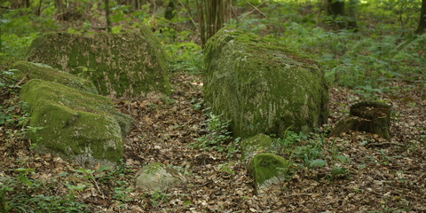 Fototapeta premium Remains of the megalithic chambered tomb Pustow 8 in Germany