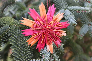 Decorations on the Christmas tree standing in the open air. Decorations New Year tree. The place for. text.Selective focus