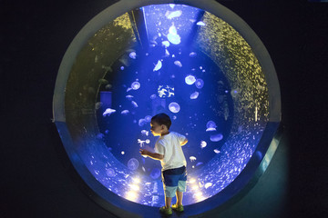A child stands amid a large round jellyfish tank