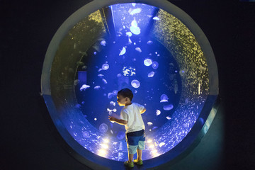 Obraz premium A child stands amid a large round jellyfish tank