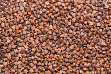 beautiful photo of close up of buckwheat seed