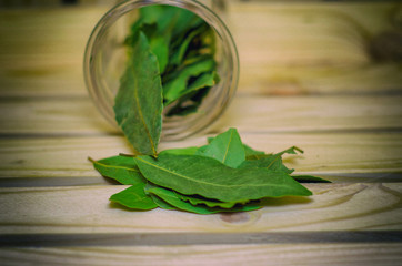 Bay Leaf Spice