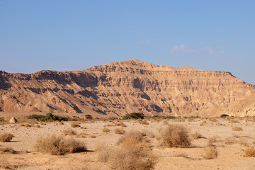 Dry wadi evening landscape in Negev desert, Israel.