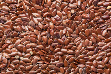 photo close up of flax seed
