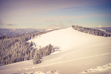 Winter Nature snowy mountains