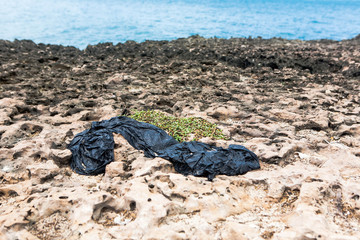 Pollution on coral formation