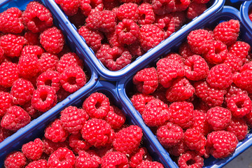 Fresh Raspberries