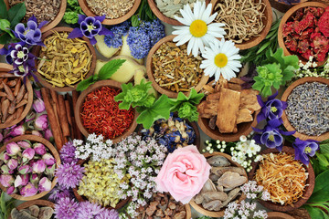Natural alternative herbal medicine with dried and fresh herbs and flowers forming a colourful background. Top view.