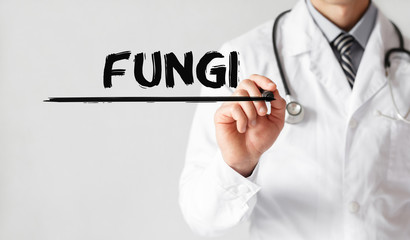 Doctor writing word Fungi with marker, Medical concept