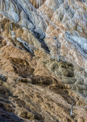 Yellowstone Colours