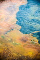 Yellowstone colours and Patterns