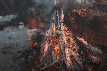 Outdoor bonfire in winter in the middle of snow forest