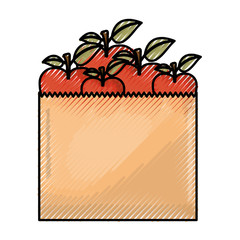 paper bag with apple fruits in colored crayon silhouette