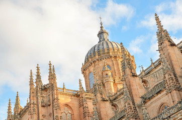 Fototapeta na wymiar Salamanca, Castilla y León, Spain, Europe 