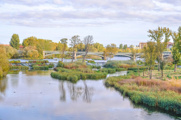 Fototapeta premium river of salamanca, Spain, Europe
