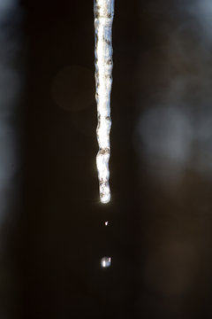 Frozen Wonderworld