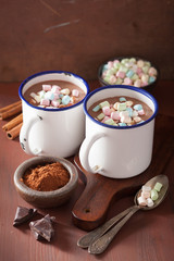 hot chocolate with mini marshmallows cinnamon winter drink