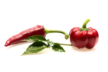 Set of red hot chili peppers, closeup. Mexican spicy peppers
