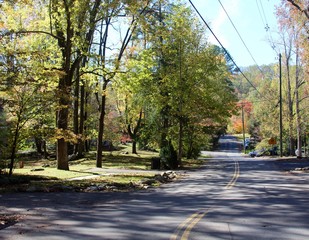 The road to the park in the forest. 