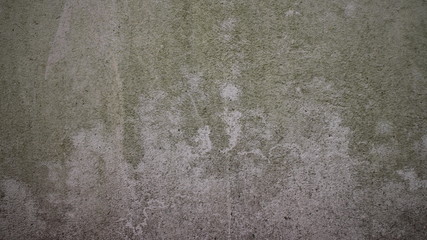 Parede texturizada com manchas verdes