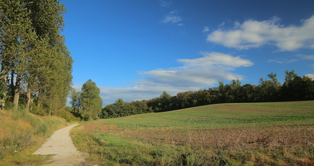 View over field and path near Magdeburg, Germany