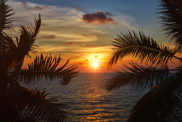 Fototapeta na wymiar Ocean sunset visible through palm leaves