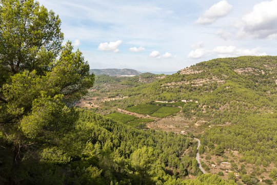Utsikt över dal i nationalpark