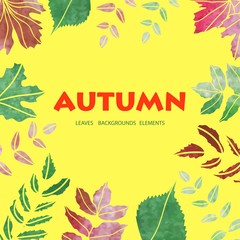 vector watercolor autumn leaves on a yellow background