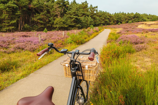 Electric black cargo bicycle with basket in Dutch national park The Veluwe