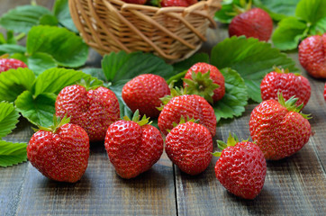 Fresh strawberries