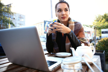 Beautiful brunette using notebook in cafe