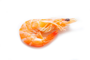 Cooked shrimps isolated on white background.