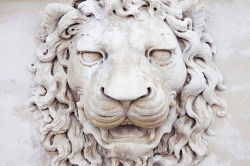 Sculpture of a medieval lion head of stone (Italy) - frontal view