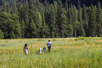 Fototapeta na wymiar A family walks through the grass in Yosemite Valley, California