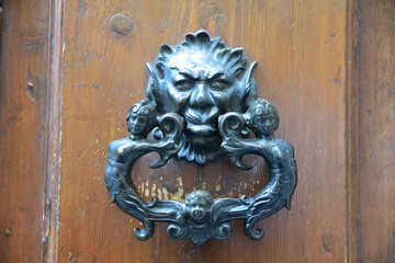 Poign&eacute;e &agrave; t&ecirc;te grotesque en fer forg&eacute; sur porte coch&egrave;re en bois