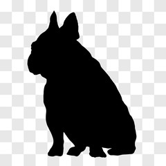 Silhouette of a seated male French bulldog seen from the left side in black on a transparent background.